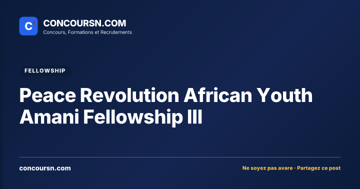Illustration de l’article : Peace Revolution African Youth Amani Fellowship III