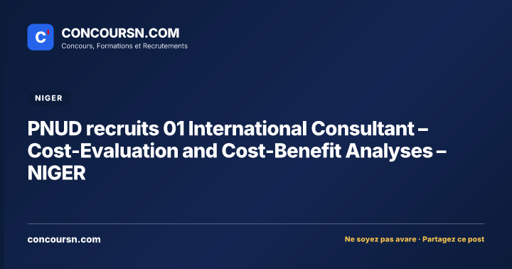 Illustration de l’article : PNUD recruits 01 International Consultant – Cost-Evaluation and Cost-Benefit Analyses – NIGER