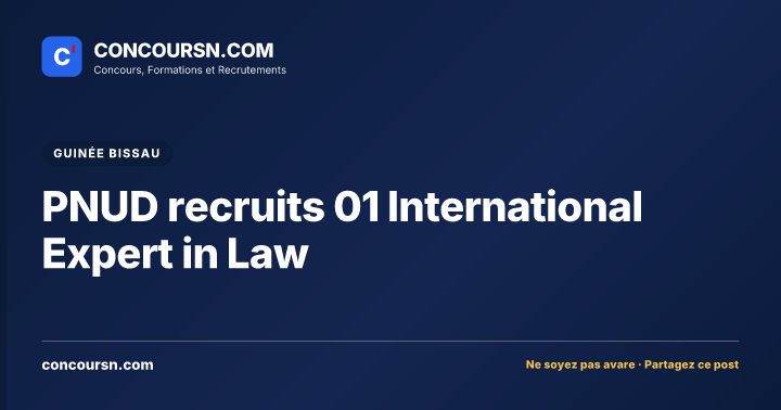 Illustration de l’article : PNUD recruits 01 International Expert in Law