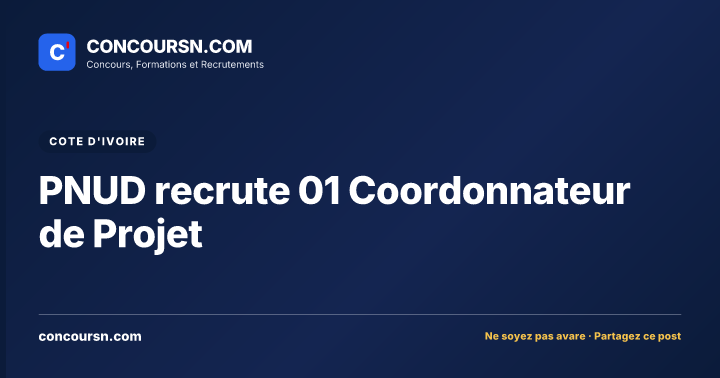 Illustration de l’article : PNUD recrute 01 Coordonnateur de Projet