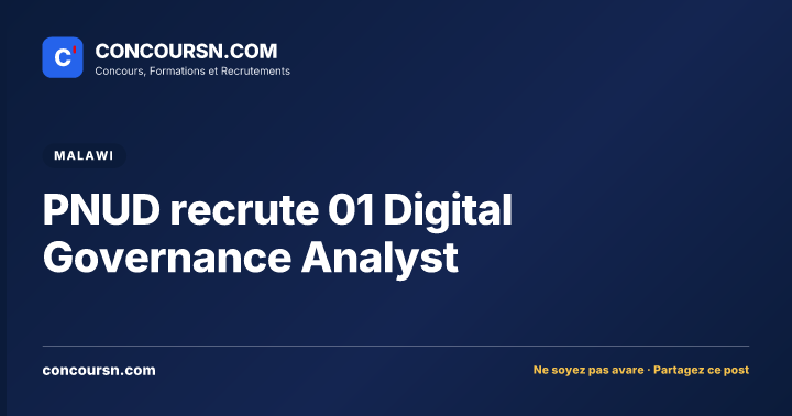 Illustration de l’article : PNUD recrute 01 Digital Governance Analyst