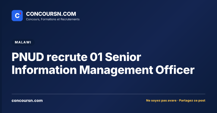 Illustration de l’article : PNUD recrute 01 Senior Information Management Officer