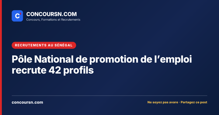 Illustration de l’article : Pôle National de promotion de l’emploi recrute 42 profils