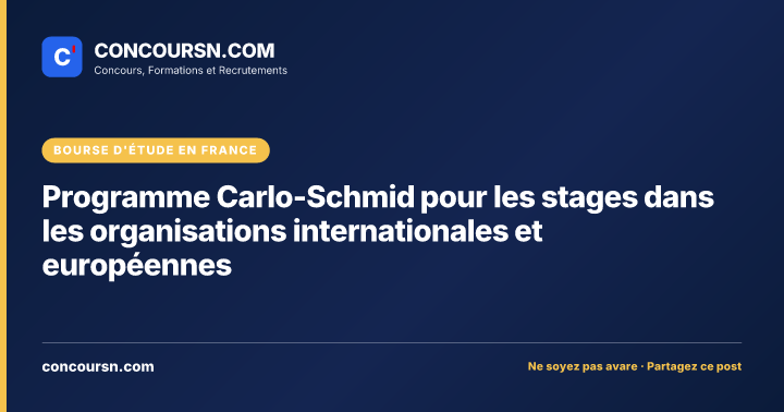 Illustration de l’article : Programme Carlo-Schmid pour les stages dans les organisations internationales et européennes