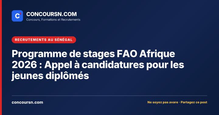 Illustration de l’article : Programme de stages FAO Afrique 2026 : Appel à candidatures pour les jeunes diplômés