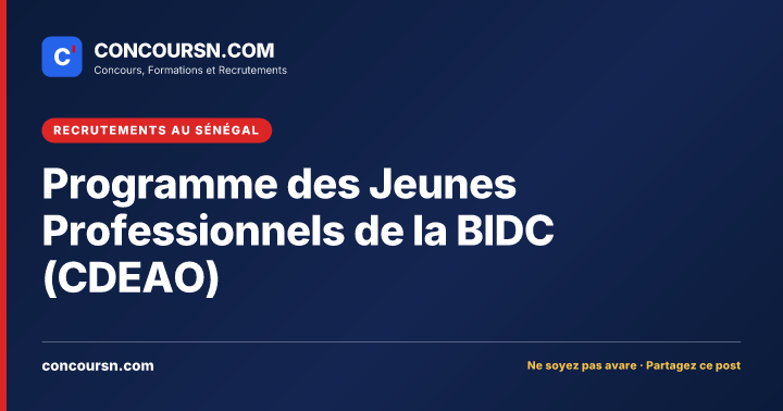 Illustration de l’article : Programme des Jeunes Professionnels de la BIDC (CDEAO)