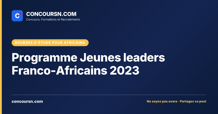Illustration de l’article : Programme Jeunes leaders Franco-Africains 2023