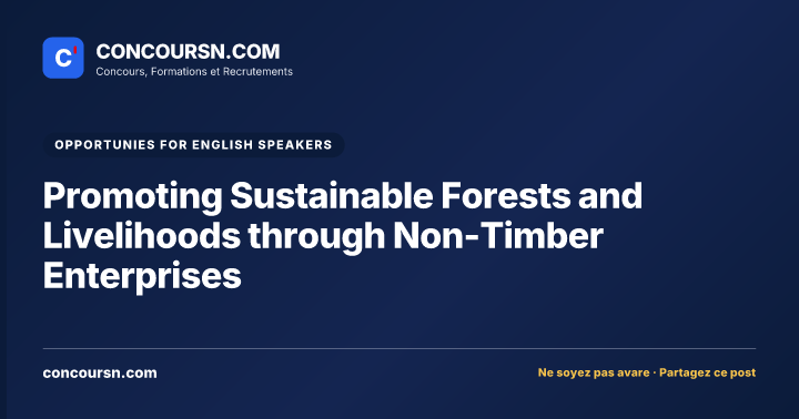 Illustration de l’article : Promoting Sustainable Forests and Livelihoods through Non-Timber Enterprises