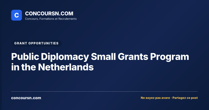 Illustration de l’article : Public Diplomacy Small Grants Program in the Netherlands