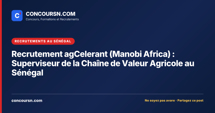 Illustration de l’article : Recrutement agCelerant (Manobi Africa) : Superviseur de la Chaîne de Valeur Agricole au Sénégal