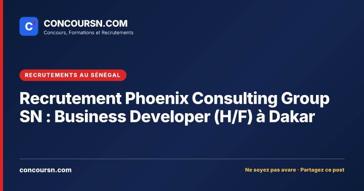 Illustration de l’article : Recrutement Phoenix Consulting Group SN : Business Developer (H/F) à Dakar