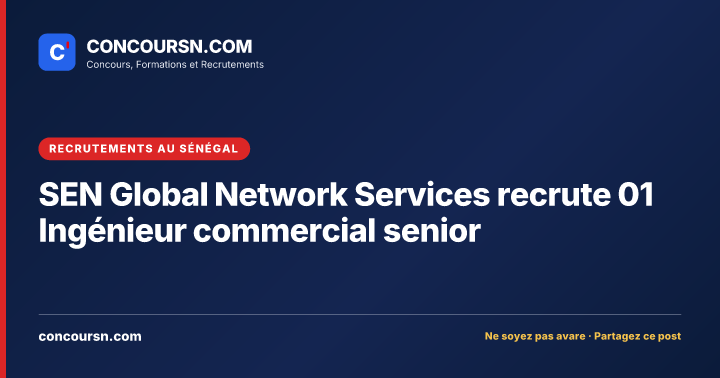 Illustration de l’article : SEN Global Network Services recrute 01 Ingénieur commercial senior