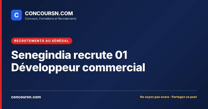 Illustration de l’article : Senegindia recrute 01 Développeur commercial
