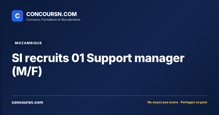 Illustration de l’article : SI recruits 01 Support manager (M/F)