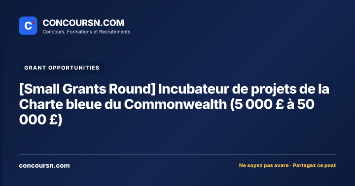 Illustration de l’article : [Small Grants Round] Incubateur de projets de la Charte bleue du Commonwealth (5 000 £ à 50 000 £)