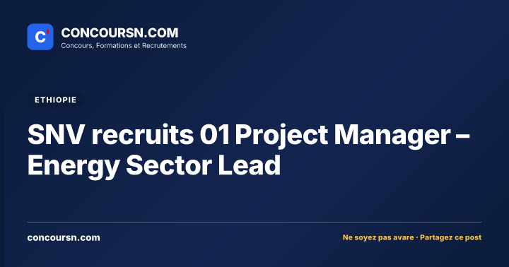 Illustration de l’article : SNV recruits 01 Project Manager – Energy Sector Lead