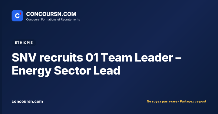 Illustration de l’article : SNV recruits 01 Team Leader – Energy Sector Lead