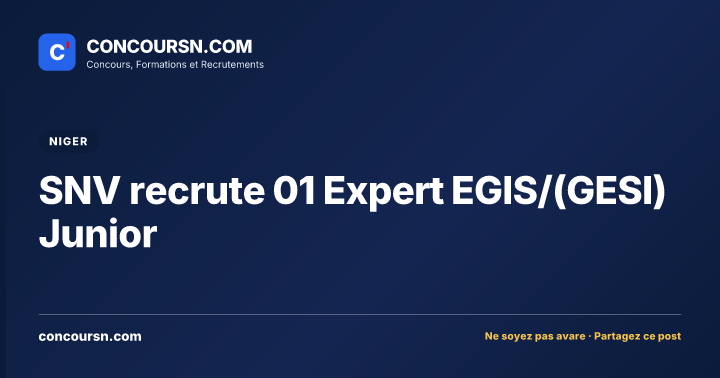 Illustration de l’article : SNV recrute 01 Expert EGIS/(GESI) Junior