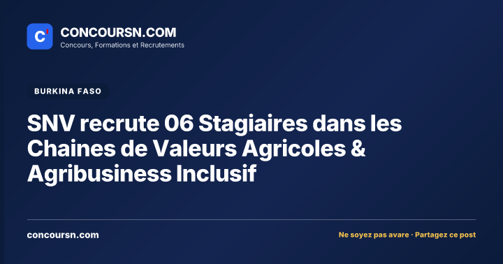 Illustration de l’article : SNV recrute 06 Stagiaires dans les Chaines de Valeurs Agricoles & Agribusiness Inclusif