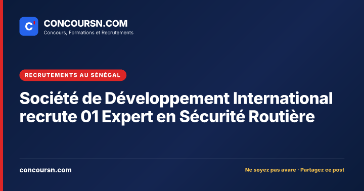 Illustration de l’article : Société de Développement International recrute 01 Expert en Sécurité Routière