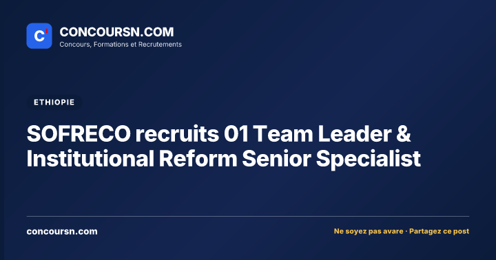 SOFRECO recruits 01 Team Leader & Institutional Reform Senior Specialist