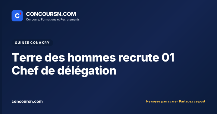 Terre des hommes recrute 01 Chef de délégation