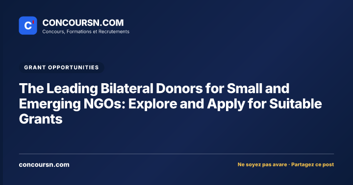 Illustration de l’article : The Leading Bilateral Donors for Small and Emerging NGOs: Explore and Apply for Suitable Grants