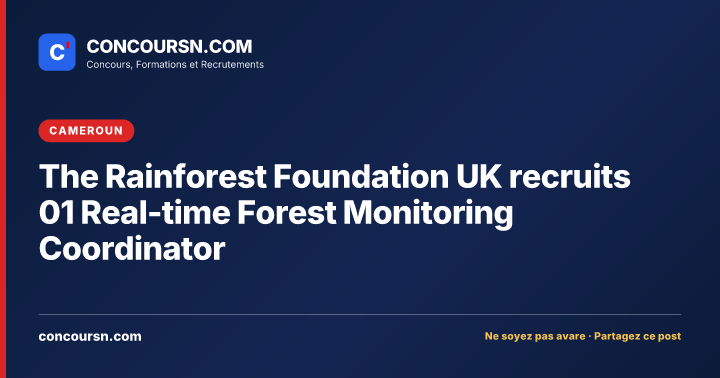 Illustration de l’article : The Rainforest Foundation UK recruits 01 Real-time Forest Monitoring Coordinator