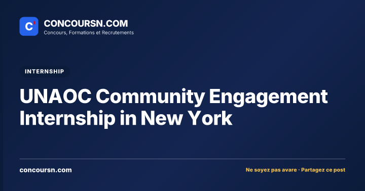 UNAOC Community Engagement Internship in New York