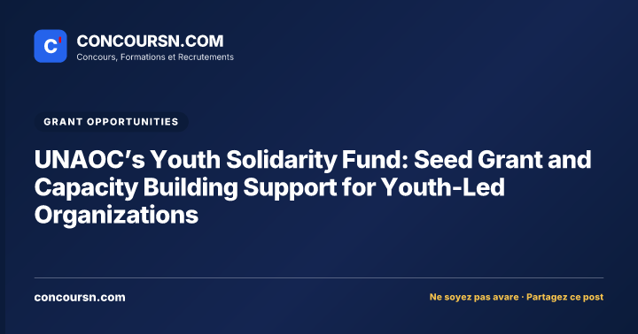 UNAOC’s Youth Solidarity Fund: Seed Grant and Capacity Building Support for Youth-Led Organizations