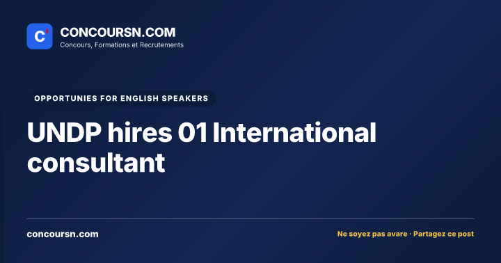 Illustration de l’article : UNDP hires 01 International consultant
