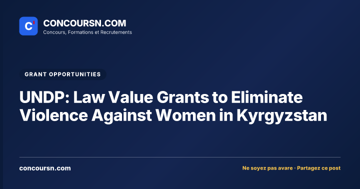 UNDP: Law Value Grants to Eliminate Violence Against Women in Kyrgyzstan