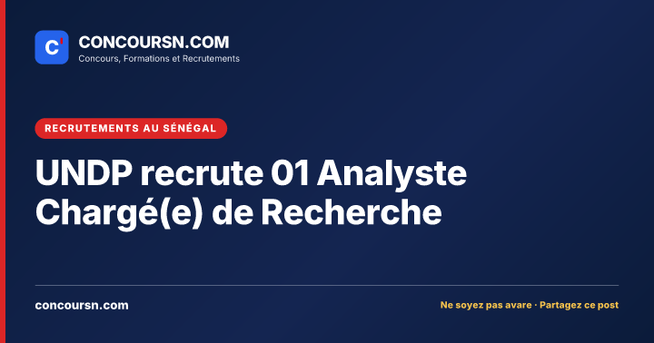 Illustration de l’article : UNDP recrute 01 Analyste Chargé(e) de Recherche