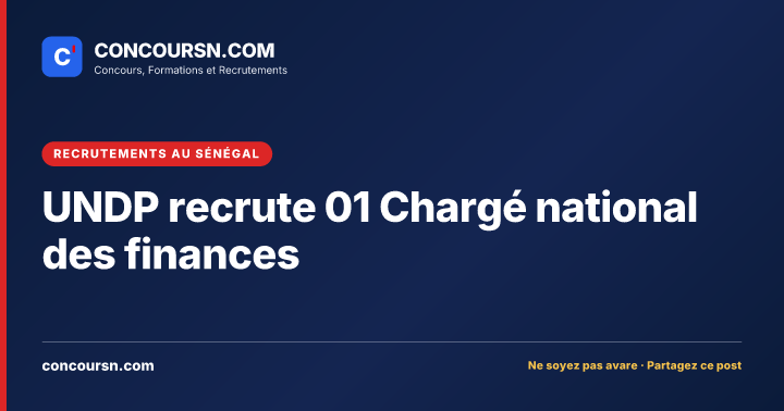 Illustration de l’article : UNDP recrute 01 Chargé national des finances