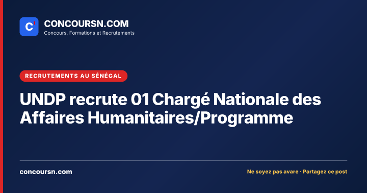 Illustration de l’article : UNDP recrute 01 Chargé Nationale des Affaires Humanitaires/Programme