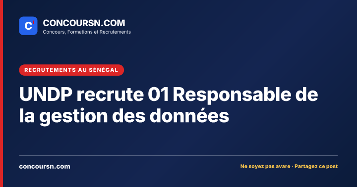 Illustration de l’article : UNDP recrute 01 Responsable de la gestion des données
