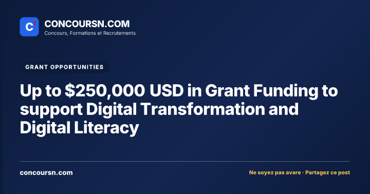 Illustration de l’article : Up to $250,000 USD in Grant Funding to support Digital Transformation and Digital Literacy
