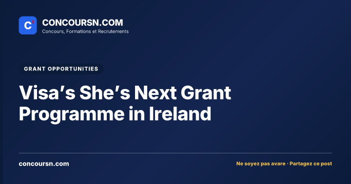 Illustration de l’article : Visa’s She’s Next Grant Programme in Ireland