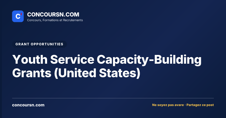 Youth Service Capacity-Building Grants (United States)
