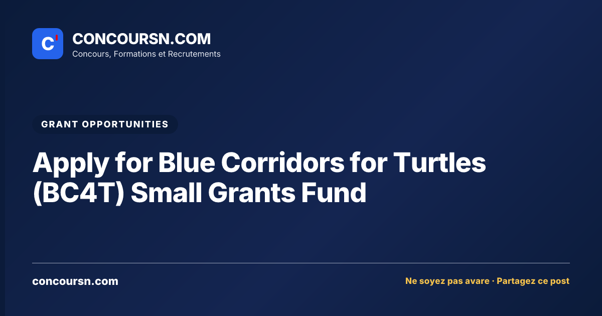 Illustration de l’article : Apply for Blue Corridors for Turtles (BC4T) Small Grants Fund
