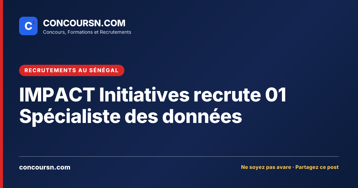Illustration de l’article : IMPACT Initiatives recrute 01 Spécialiste des données