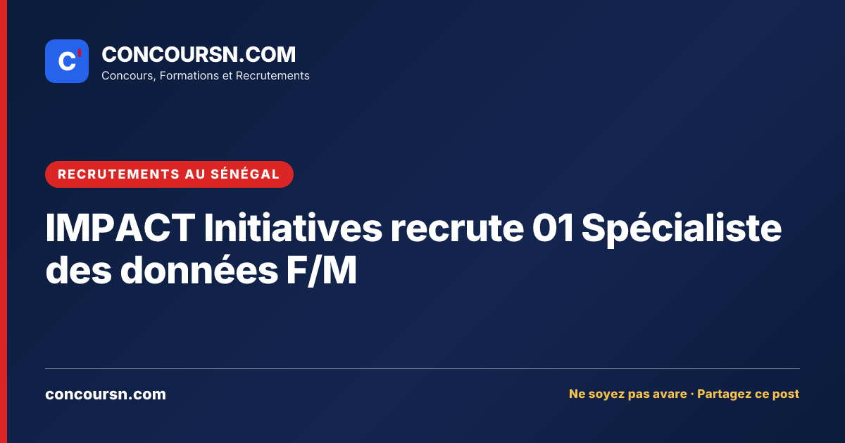 Illustration de l’article : IMPACT Initiatives recrute 01 Spécialiste des données F/M