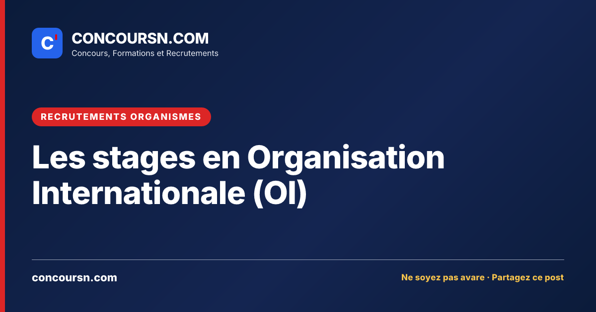 Illustration de l’article : Les stages en Organisation Internationale (OI)