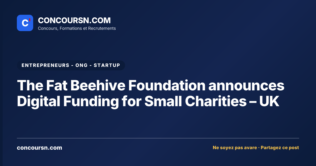 Illustration de l’article : The Fat Beehive Foundation announces Digital Funding for Small Charities – UK