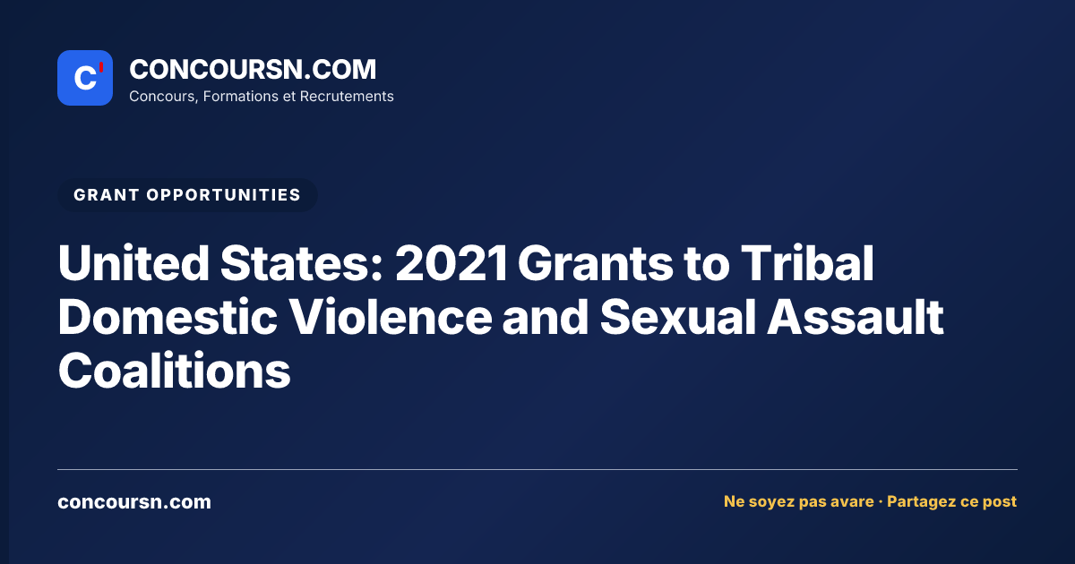 Illustration de l’article : United States: 2021 Grants to Tribal Domestic Violence and Sexual Assault Coalitions